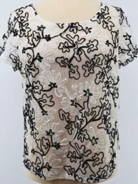 Meadow Rue Black Embroidered Lace Overlay Top on Cream